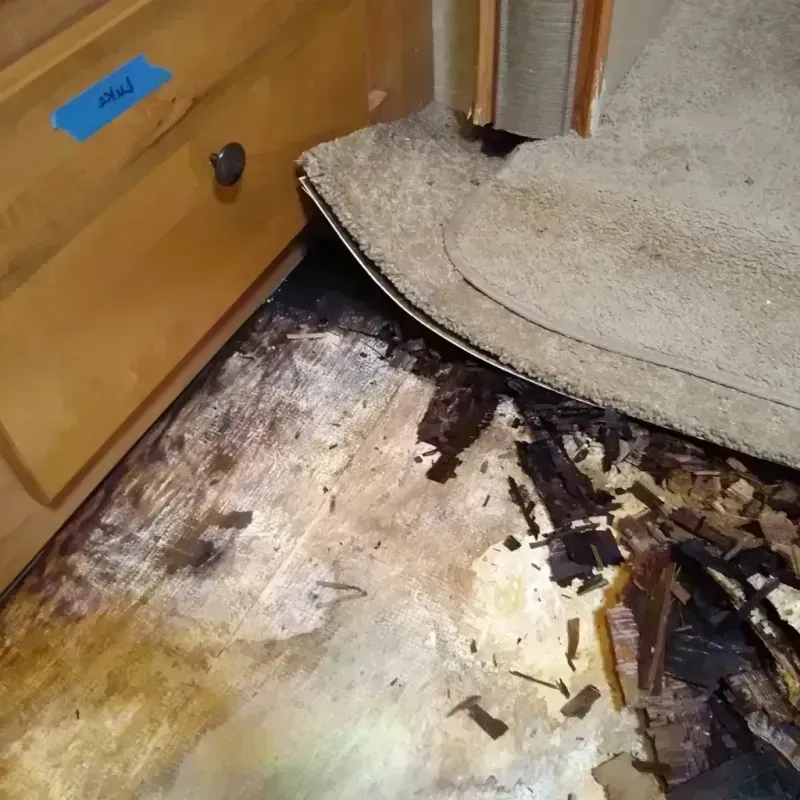 Best Wood Floor Water Damage Service in Cactus Flat, AZ